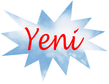 SERBEST MESLEK , İŞLETME DEFTERLERİ İLE BASİT USUL KAYITLARI ELEKTRONİK ORTAMDA TUTULACAK !