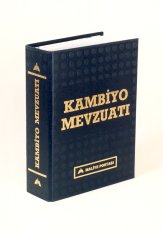 DÖVİZ BÜROLARINA İLİŞKİN YENİ DÜZENLEMELER YAPAN TEBLİĞ