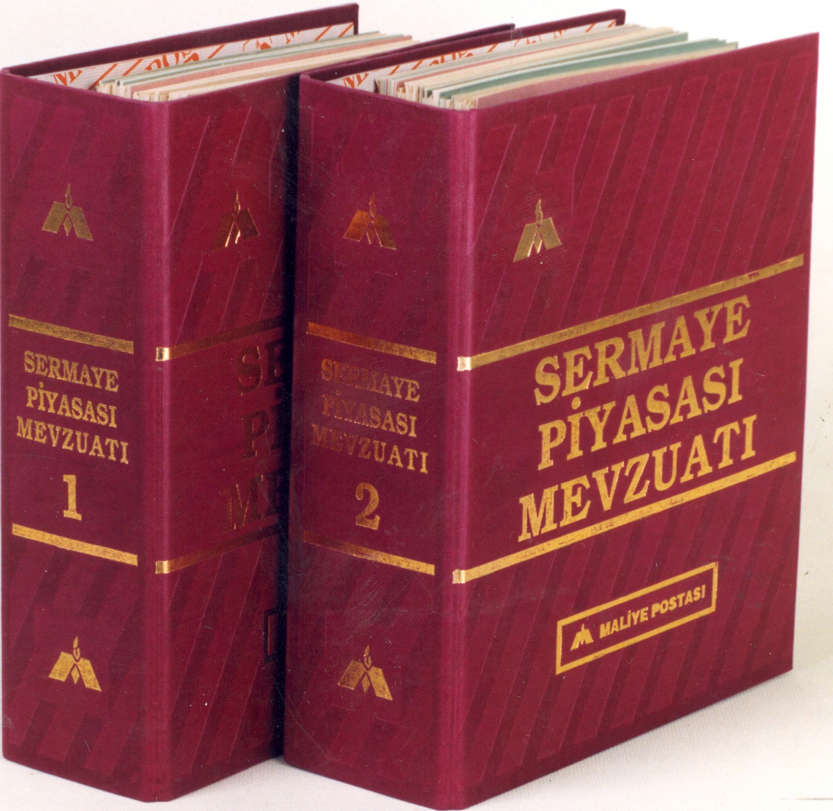ŞİRKETLERİN HALKTAN SERMAYE TOPLAMASI HAKKINDA TEBLİĞ