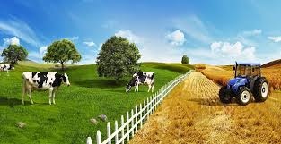 Gıda, Tarım ve Hayvancılık Bakanlığından Tarımsal Desteklere Sıkı Denetim
